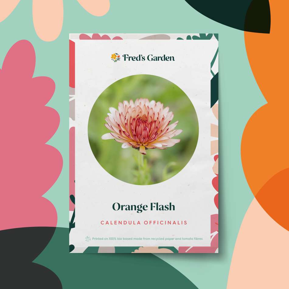 Ringblomma 'Orange Flash' (frö)